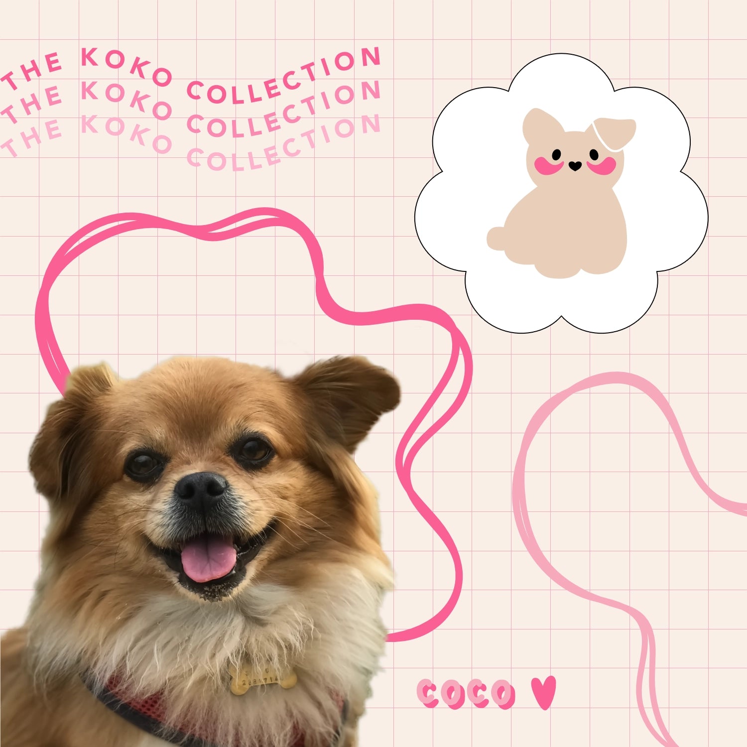 Cute fluffy dog with illustrated logo version, the inspiration behind The Koko Collection skincare brand