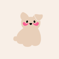 The Koko Collection Team profile picture